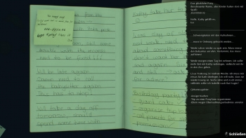 The Last Look Screenshot